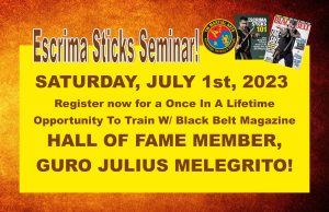 Escrima Sticks Seminar