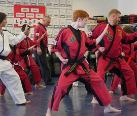 TM-Martial-Arts-adults-banner