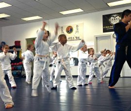 TM-Martial-Arts-kids-banner